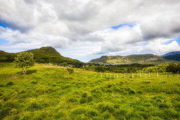 Obraz premium Landscape on Vestvagoy in Lofoten, Norway
