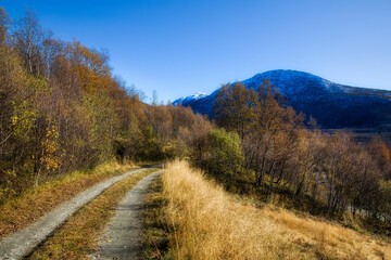 Fototapeta premium Autumn in Hemsedal, Viken, Norway, on the Way to Venashovda