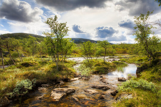 The River Running through the Landscape just above Orvvosfossen Waterfall near Gargia Lodge in Alta, Finnmark, Norway