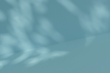 Obraz premium Blue background with blurred foliage shadow and light. background for presentation. 3d rendering.