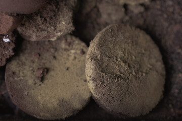 Mold, mould, one of the structures that certain fungi can form, colored appearance of molds is due to the formation of spores containing fungal secondary metabolites, on hardened coffee