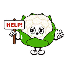 Cauliflower with an inscription help character. Vector hand drawn traditional cartoon vintage, retro, kawaii character illustration icon. Isolated white background. Cauliflower character
