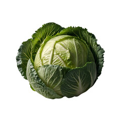 Fototapeta premium fresh raw cabbage isolated on white background