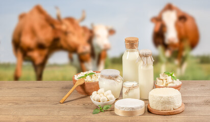 Bottle milk, cheeses, cottage cheese, yogurt, butter on a wooden table on meadow of cows...