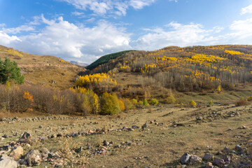 The mountains are covered with trees and bushes of autumn colors. Field with stones on the foreground