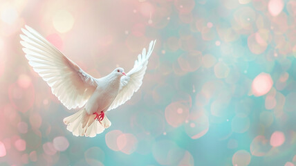 Fototapeta premium Beautiful white dove flying in the air on pastel bokeh background with copy space for text or design. Concept of freedom