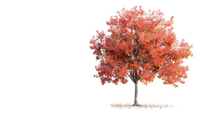 A tree with red leaves set against a white background