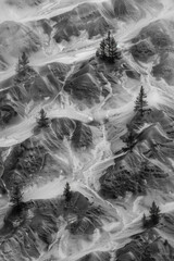 Aerial view of a monochrome tundra landscape, capturing the subtle textures and patterns created by the sparse vegetation and undulating terrain. 