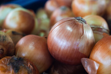 Larger group  of onion  for texture and background.