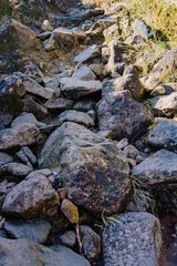The rocky road on the Mount Merbabu climbing track via Thekelan. These rocks are the result of the ancient eruption of Mount Merbabu millions of years ago