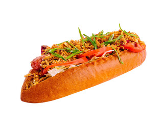 Delicious gourmet hot dog with toppings on white