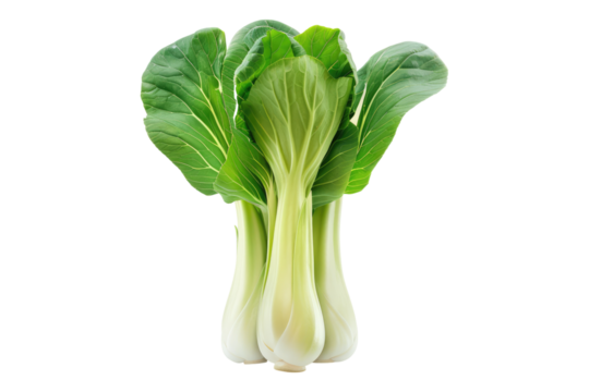 Bok choy vegetable isolated on white background