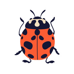 Ladybug, ladybird beetle. Red lady bug with black spots on wings, top view. Insect, spotty fauna species, icon. Flat graphic vector illustration isolated on white background