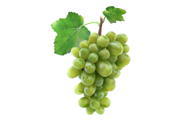 Green grapes isolated on white background