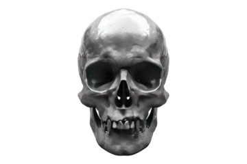 Skull isolated on white background