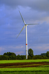 wind turbine in the field