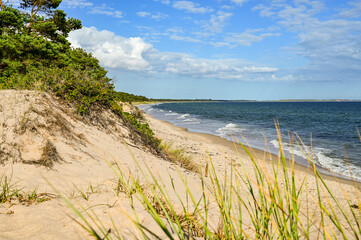 Vacation in Sweden - Vacation on the sandy beach Mossbystrand beach with a view of the Baltic Sea, in summer with a blue sky, Skivarp, Öresund, Skane Lan, Sweden	