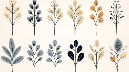 plant illustration