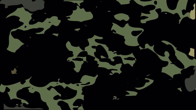 Military camouflage pattern green
