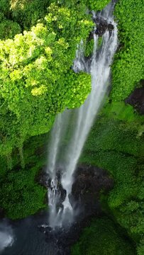 Hidden in rainforest jungle Sekumpul Waterfall one of the most highest and beautiful waterfalls on the island Bali, Indonesia. Vertical Video Clip.