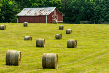 hay bales in the field with red barn