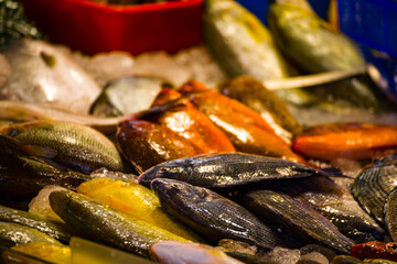 a market stall filled with various fresh, vibrant-colored seafood