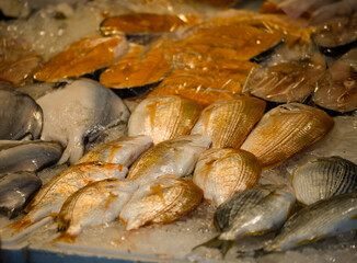 a market stall filled with various fresh, vibrant-colored seafood