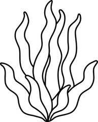 Hand drawn seaweed. Outline