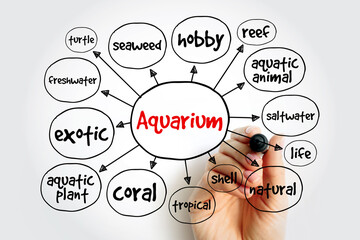 Aquarium mind map, concept for presentations and reports