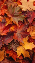 Fototapeta premium autumn leaves background.