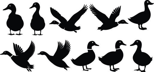 Black flat duck silhouette vectors