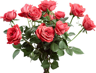 Fototapeta premium bouquet of red roses isolated on transparent background