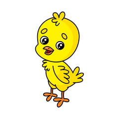Cute chick in cartoon style. Colored farm bird. Vector colorful baby illustration isolated on white background.