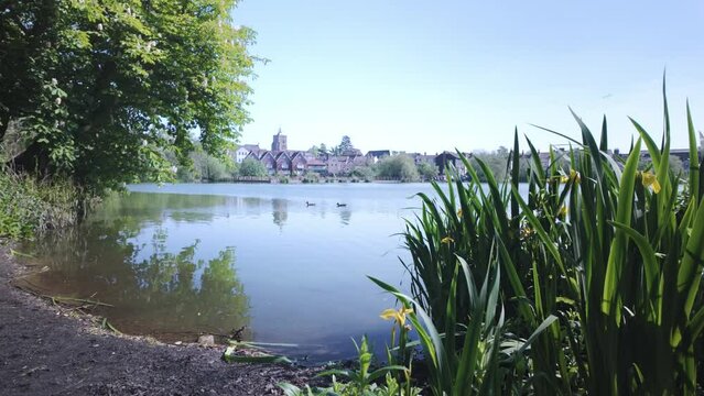 Diss parkland fishing lake peaceful reservoir with swimming ducks