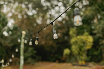 Backyard Bulb String Lights Hang in Cool Evening Light