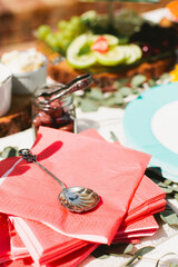 Vintage Serving Spoon Rests on Napkins for Party
