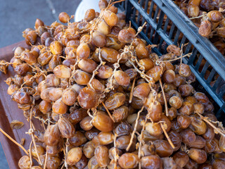 candied fresh Tunisian dates at the date seller,