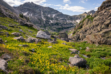 Scenic mountain landscape with wildflowers and rocky terrain