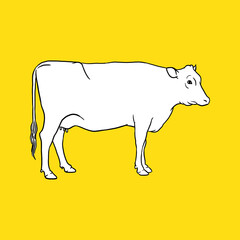 Vintage Cow Side. Sketch and Drawing Style. Vector