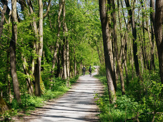 Boschi di Cesate, in the natural park of Groane, Milan, Italy