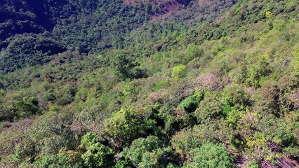 Aerial view of the crater of an inactive volcano with abundant vegetation and trees, pines, cedars, oaks