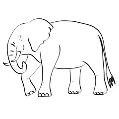 Elephant Line art