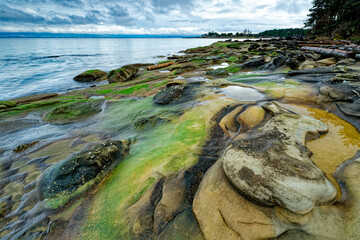 this is a rocky beach covered in green algae and rocks