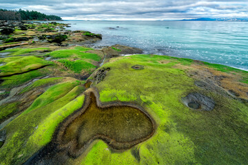 a view of the ocean with moss covered rocks, trees and land