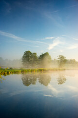 Group of trees is reflected in the crystal clear blue water