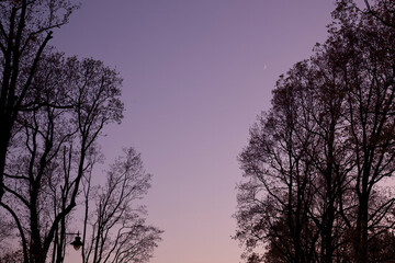 Autumn season in Tokyo