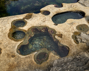 Closeup shot of small round intertidal pools at Botanical Beach, Port Renfrew