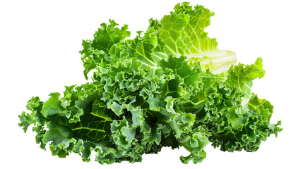 Obraz premium Lettuce (Kale) isolated on transparent white with background PNG