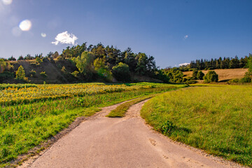 Figurenfeld im Hessental, Stadt Eichstaett, Naturpark Altmühltal
