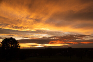 the sun setting over an open field with houses and trees
